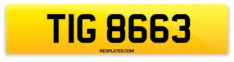 TIG 8663