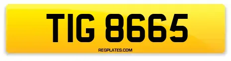TIG 8665