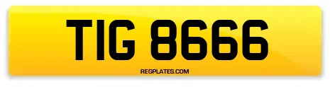 TIG 8666