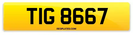 TIG 8667