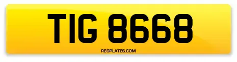 TIG 8668