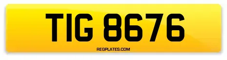 TIG 8676