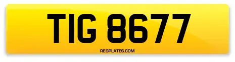 TIG 8677