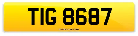 TIG 8687