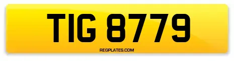 TIG 8779