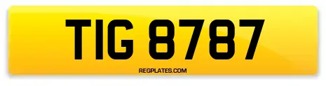 TIG 8787