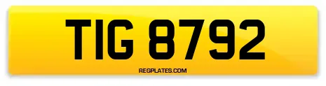 TIG 8792