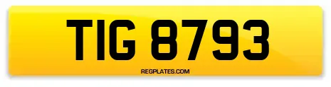 TIG 8793