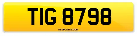 TIG 8798
