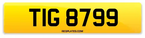 TIG 8799