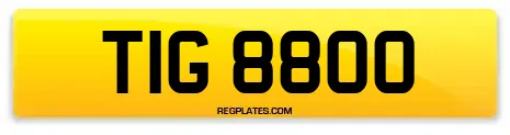 TIG 8800