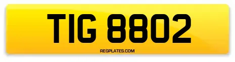TIG 8802