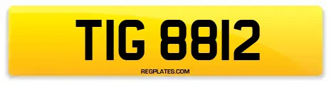 TIG 8812