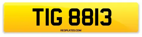 TIG 8813