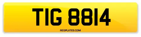 TIG 8814