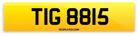 TIG 8815