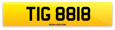 TIG 8818