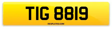 TIG 8819