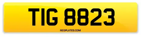 TIG 8823