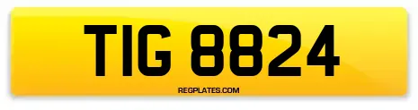 TIG 8824