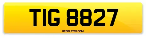 TIG 8827