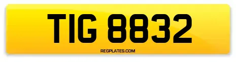 TIG 8832