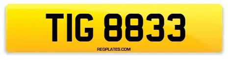 TIG 8833
