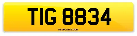 TIG 8834