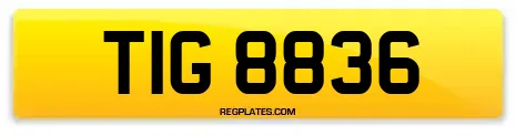 TIG 8836