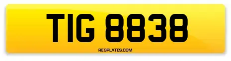 TIG 8838