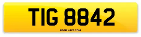 TIG 8842
