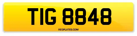 TIG 8848