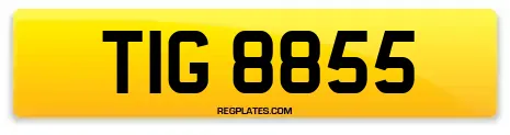 TIG 8855