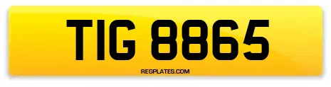TIG 8865