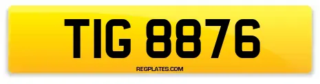 TIG 8876