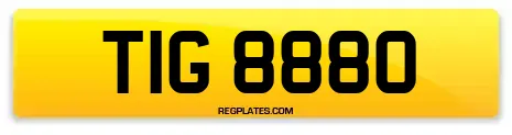 TIG 8880