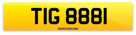 TIG 8881