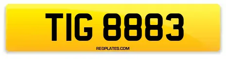 TIG 8883