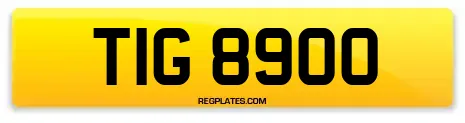 TIG 8900