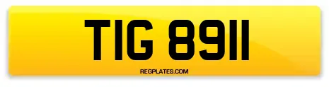 TIG 8911