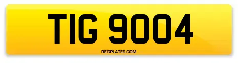 TIG 9004