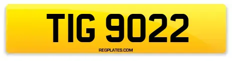 TIG 9022