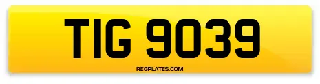 TIG 9039