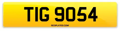 TIG 9054