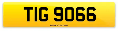 TIG 9066