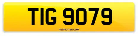 TIG 9079