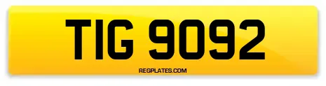 TIG 9092