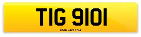 TIG 9101