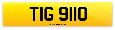 TIG 9110