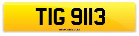 TIG 9113